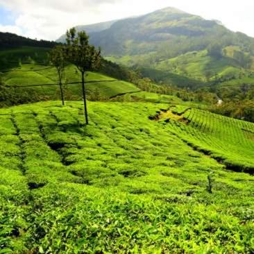 Hotel Garden Reach Kalimpong Esterno foto